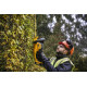Купити Кущоріз акумуляторний DeWALT DCMHT563P1. Офіційний магазин Dewalt Україна. Фірмовий інструмент та обладнання DeWALT, STANLEY, BLACK+DECKER, BOSTITCH